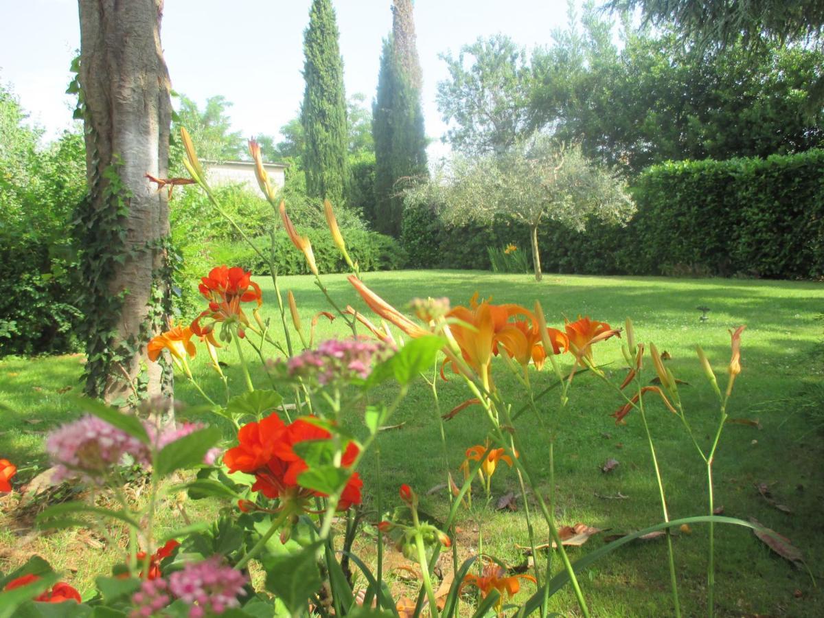 Apartment Near Center,Beach,Bus +Free Parking Zadar Exterior foto